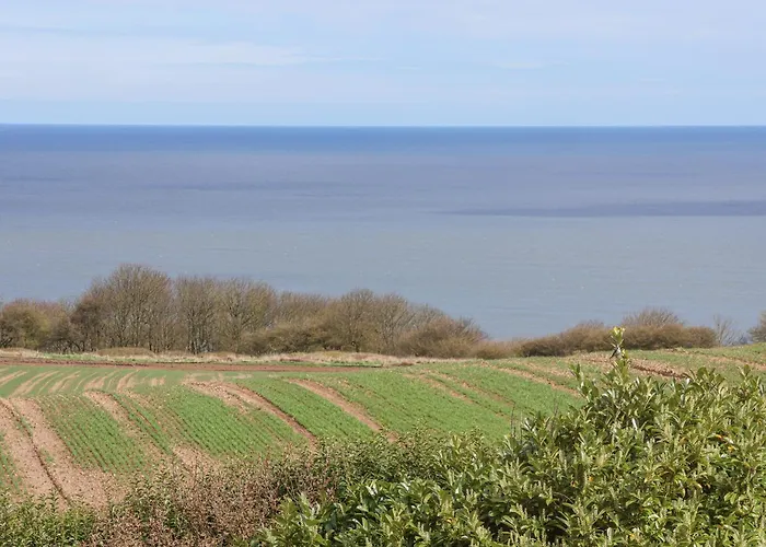 Дом отдыха 315 Filey Road *